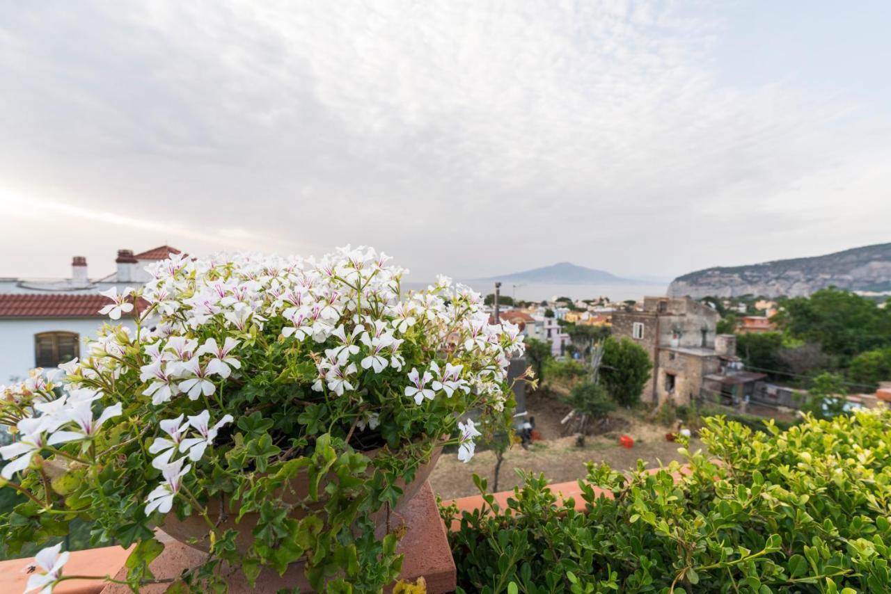 Shanti Home - Restaurant Di Aversano Salvatore Sorrento Exterior photo